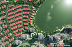 中国人似乎都急于成功